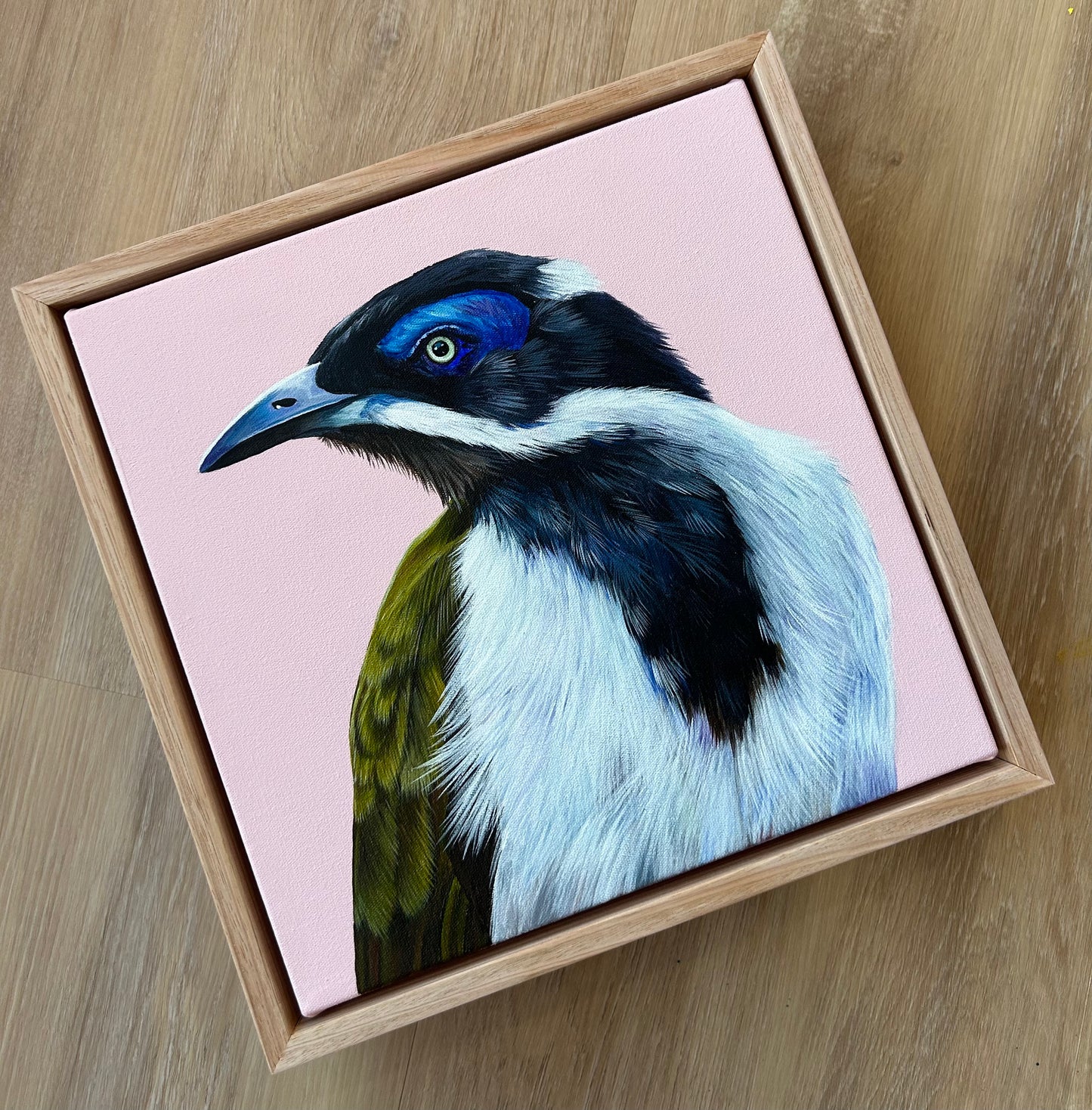 Blue-faced Honey Eater