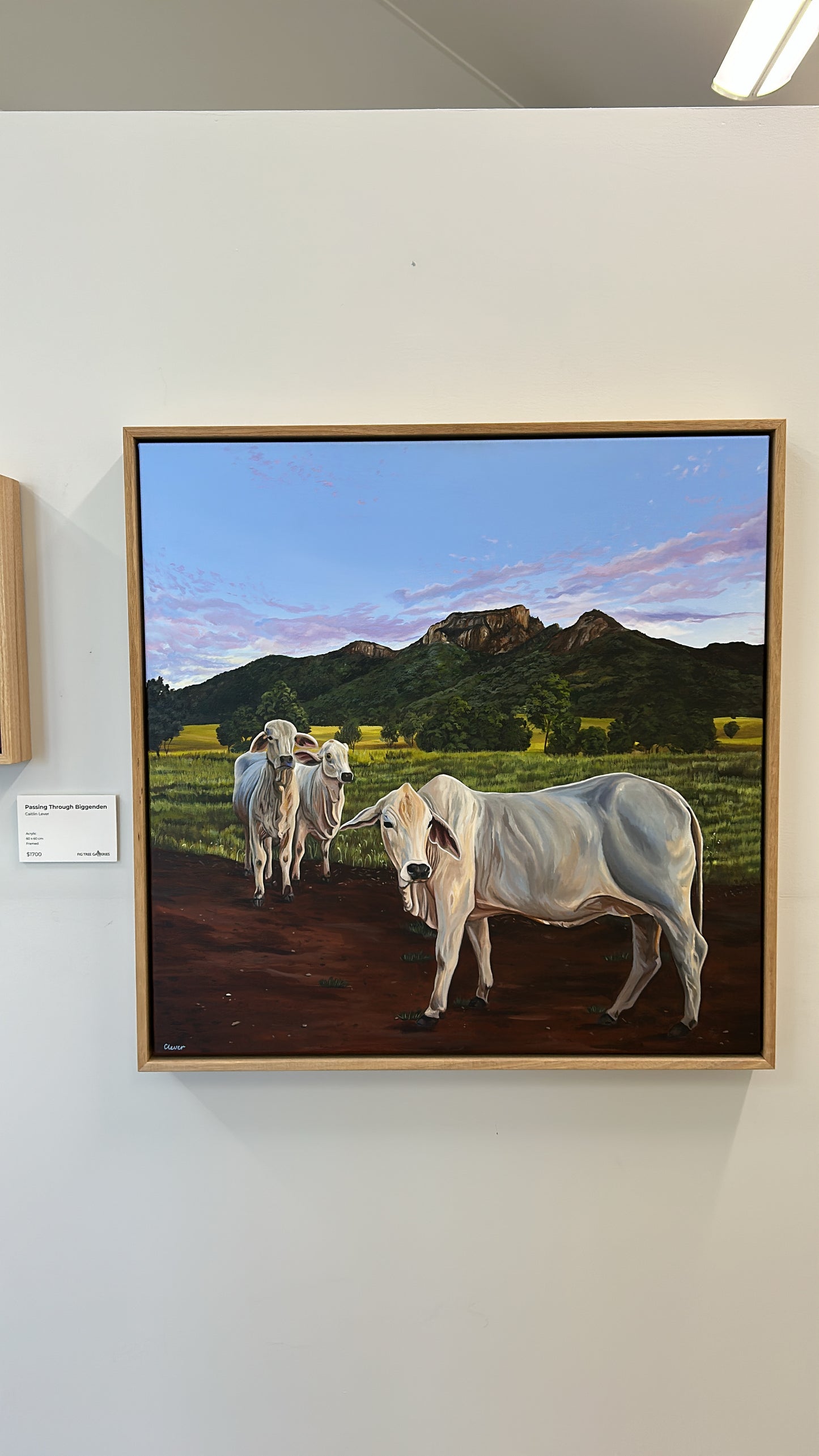 Original Canvas - Passing Through Biggenden