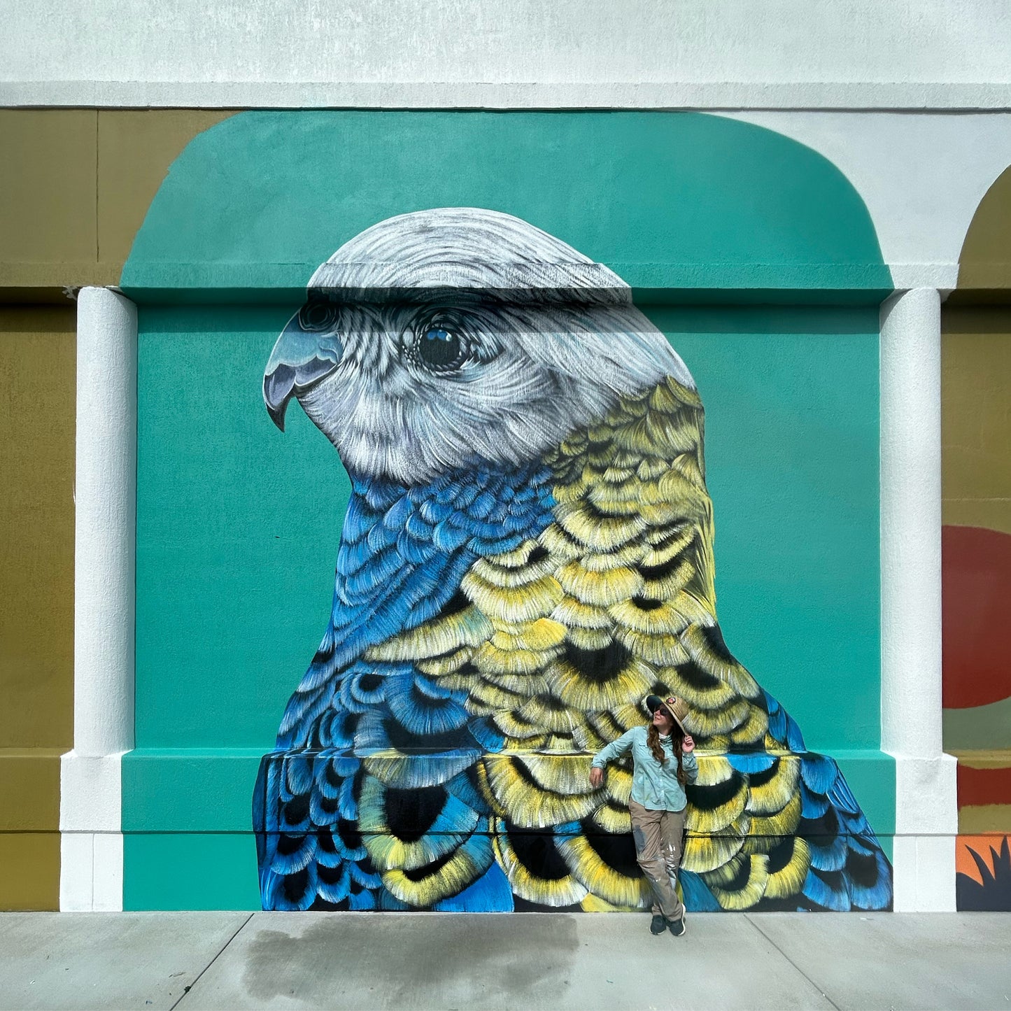 Stocklands Mural - Pale Headed Rosella