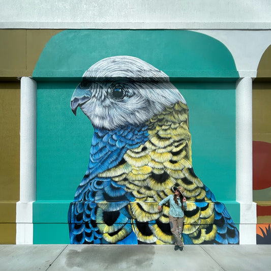 Stocklands Mural - Pale Headed Rosella