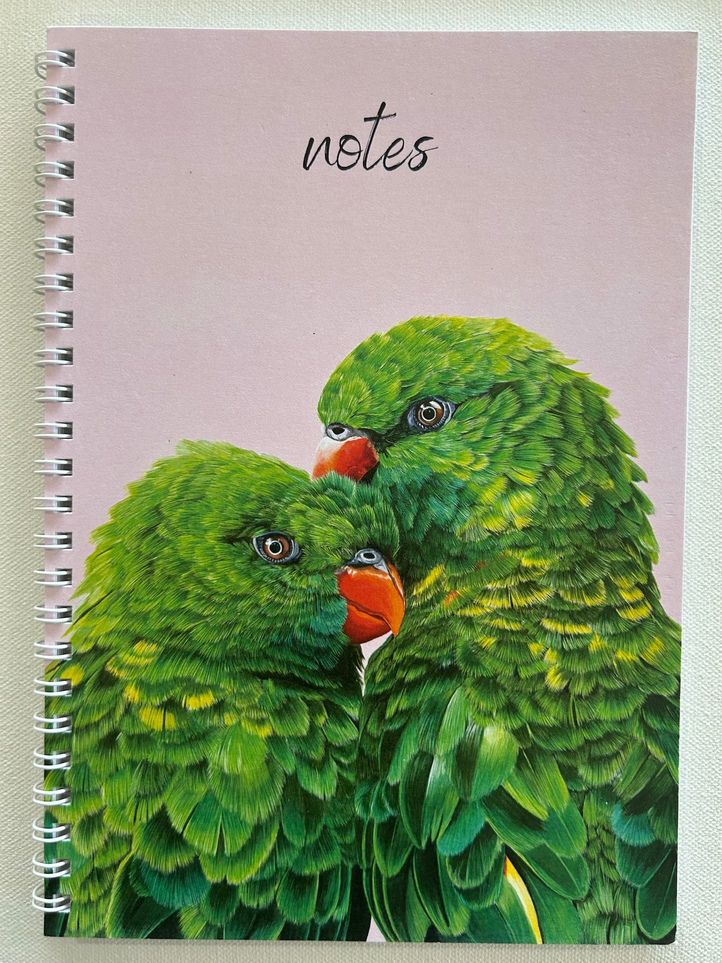 Notebook | Pickles and Olive