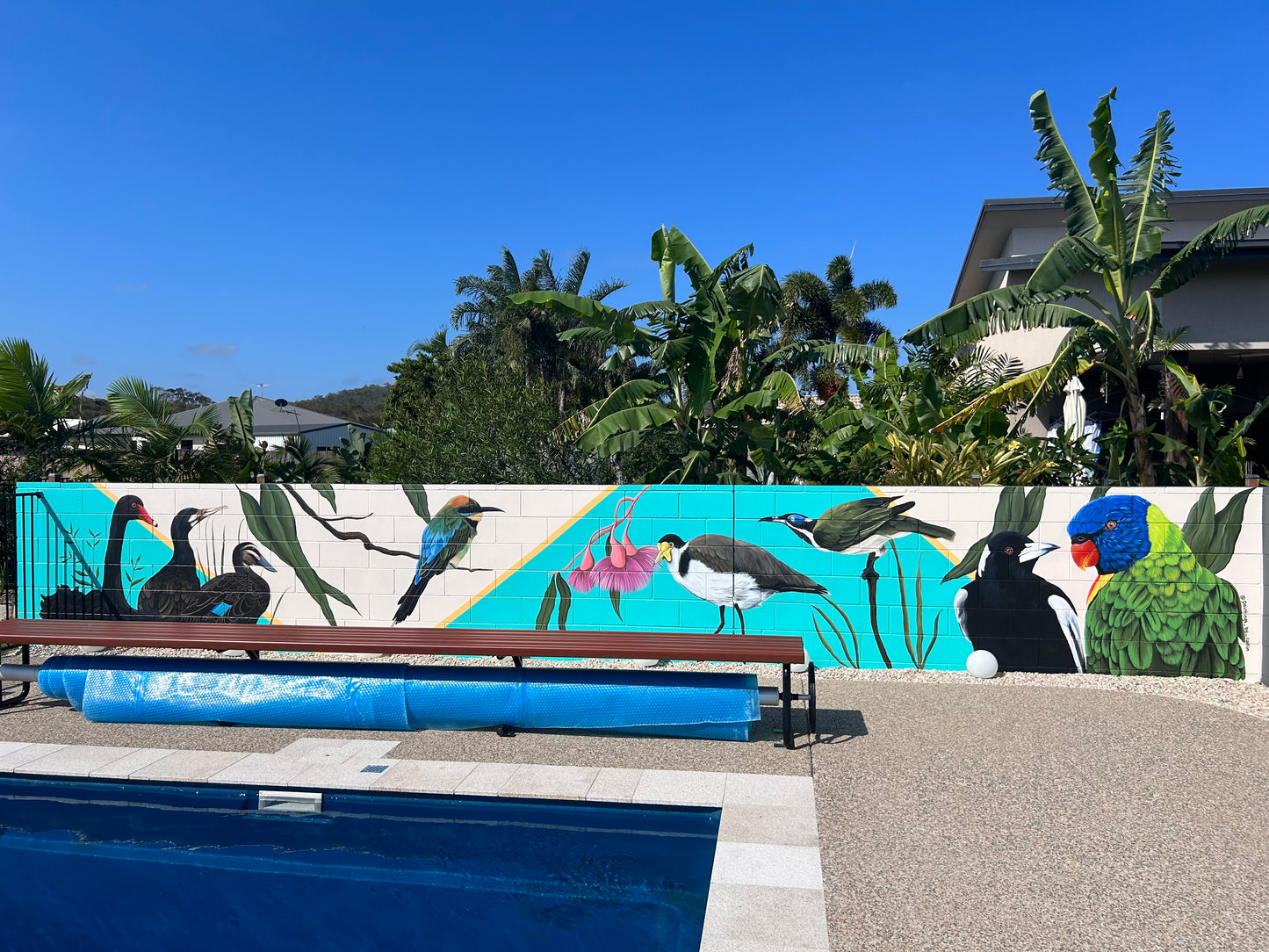 Private Bird Themed Pool Mural