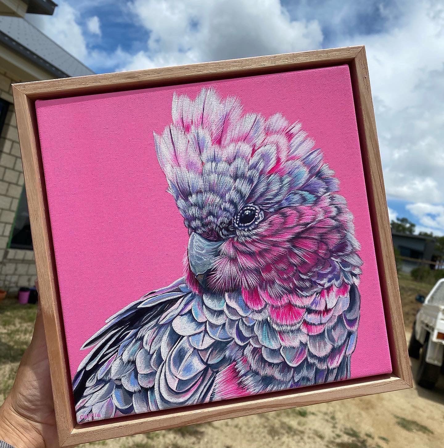 Original Canvas | Greta the Galah