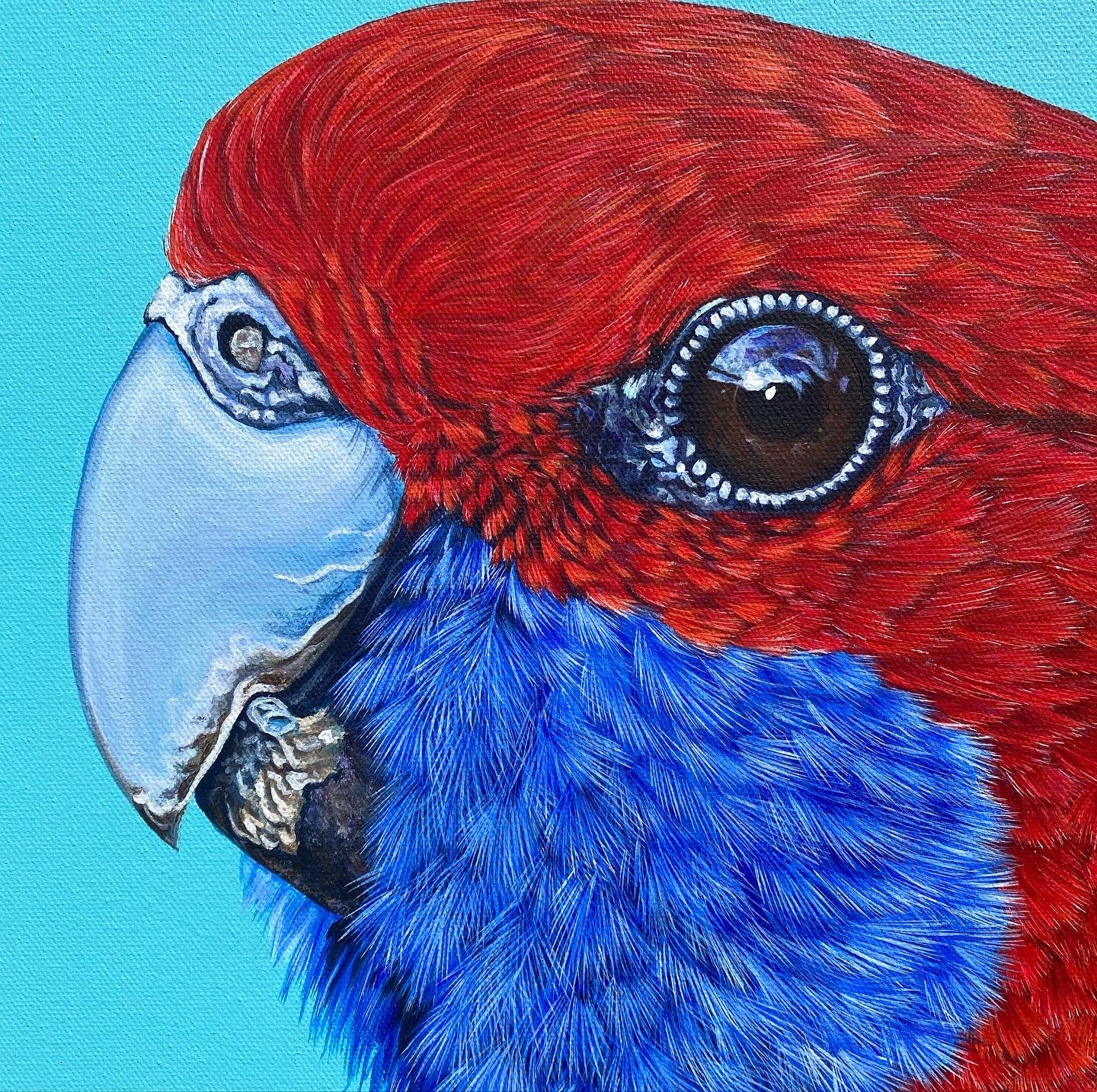 Original Canvas - Arlo