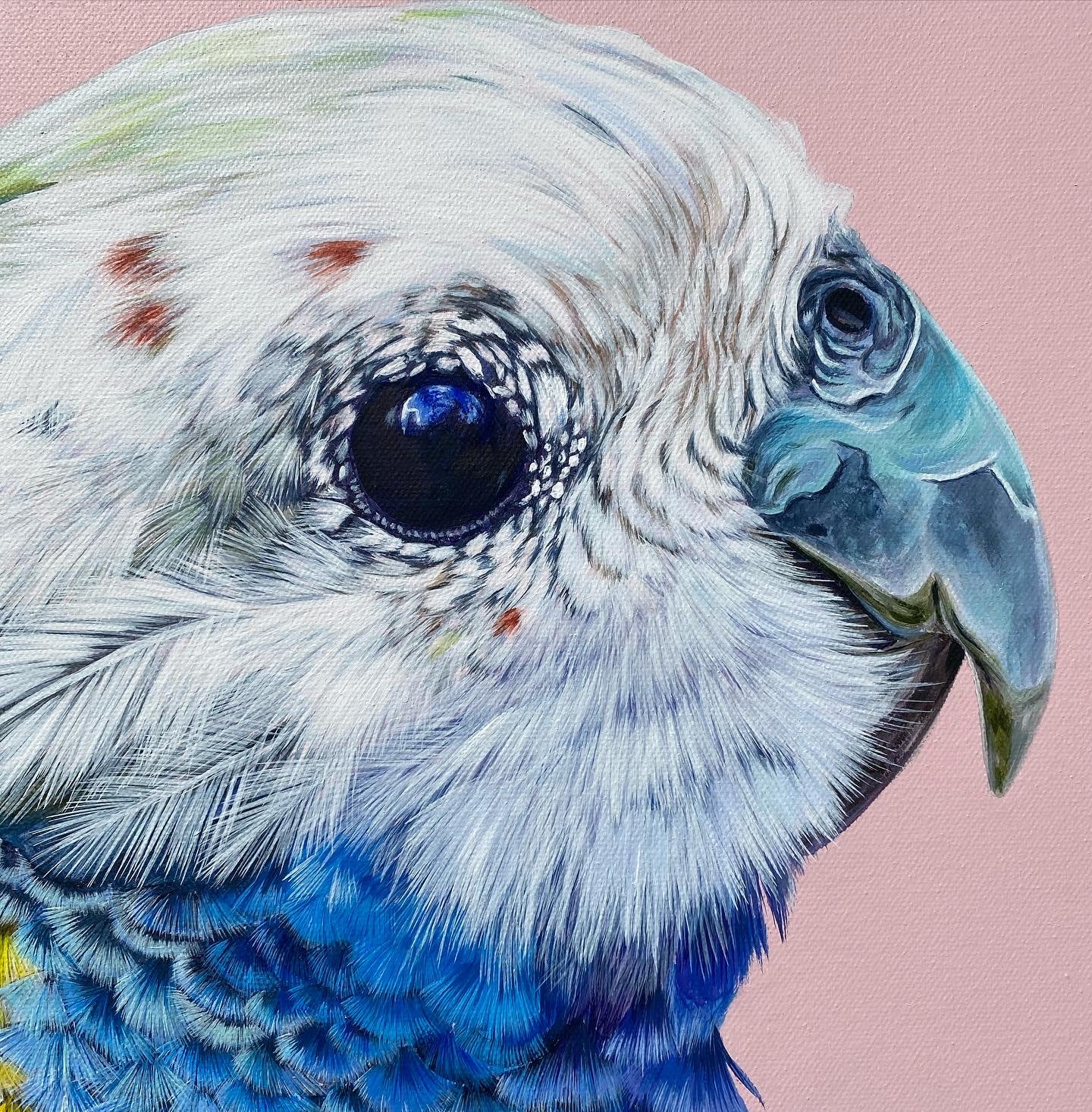 Original Canvas - Rosie