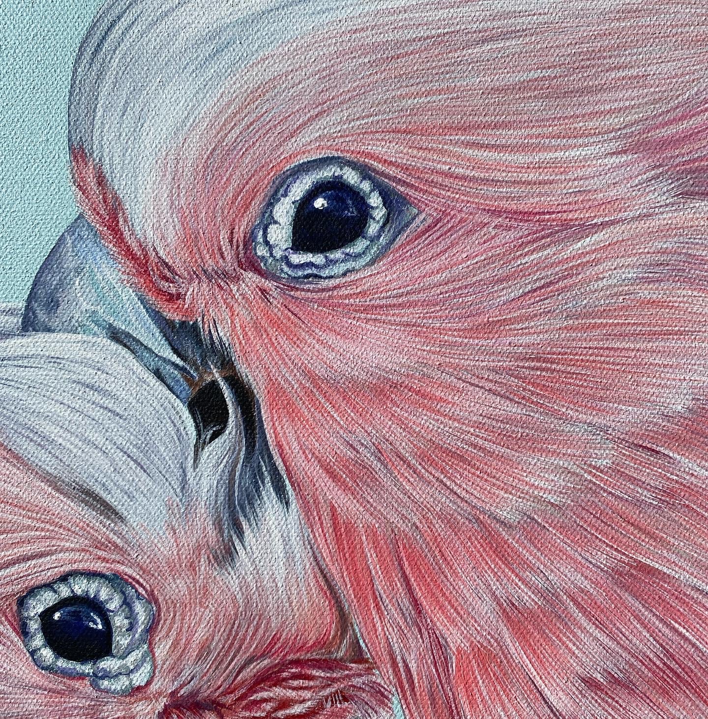 Original Canvas | Mitch and Milly