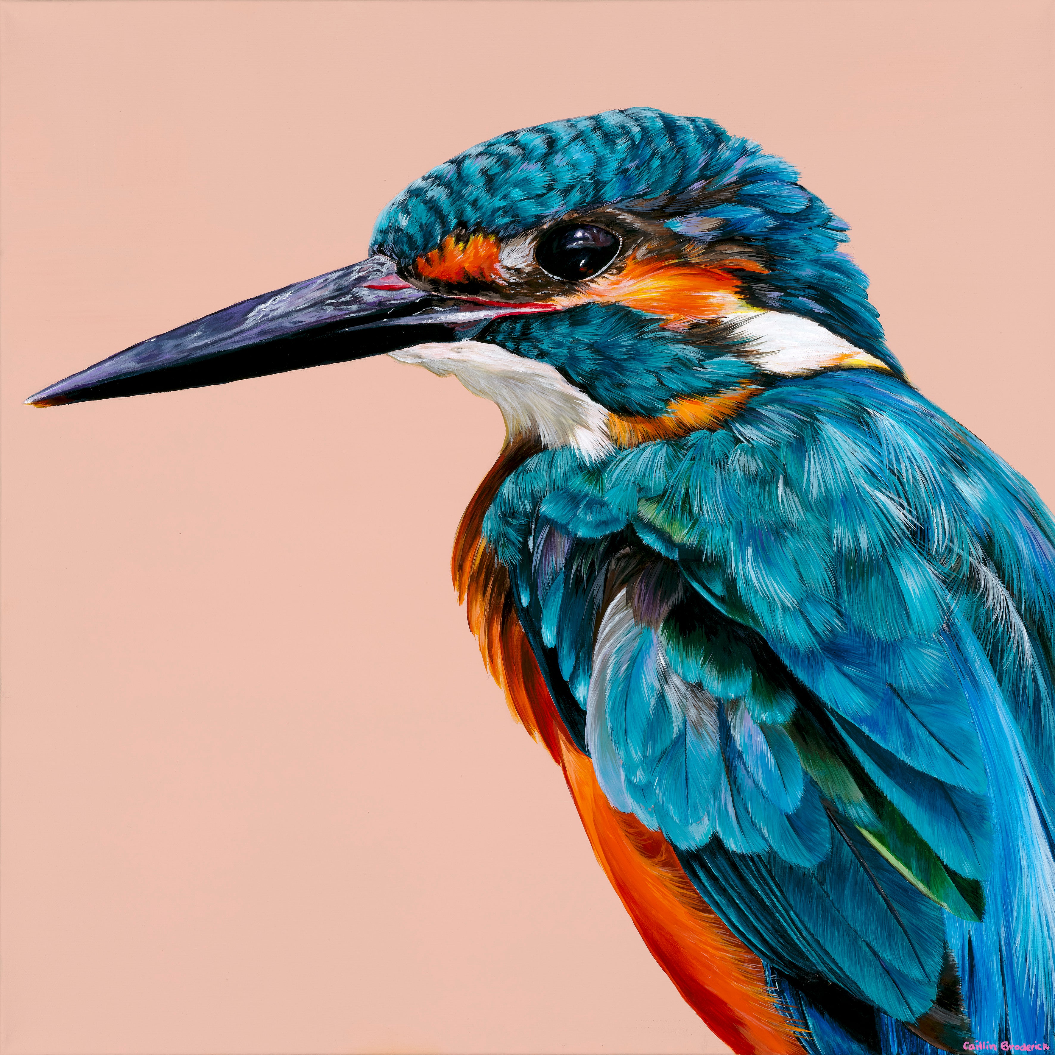 Original Canvas - Kingfisher – Paintings By Caitlin