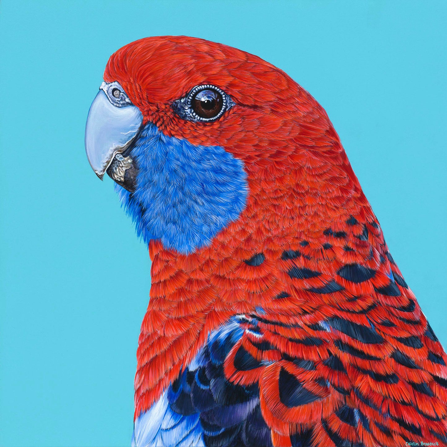 Original Canvas - Arlo