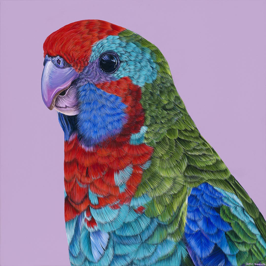Print - Skittles