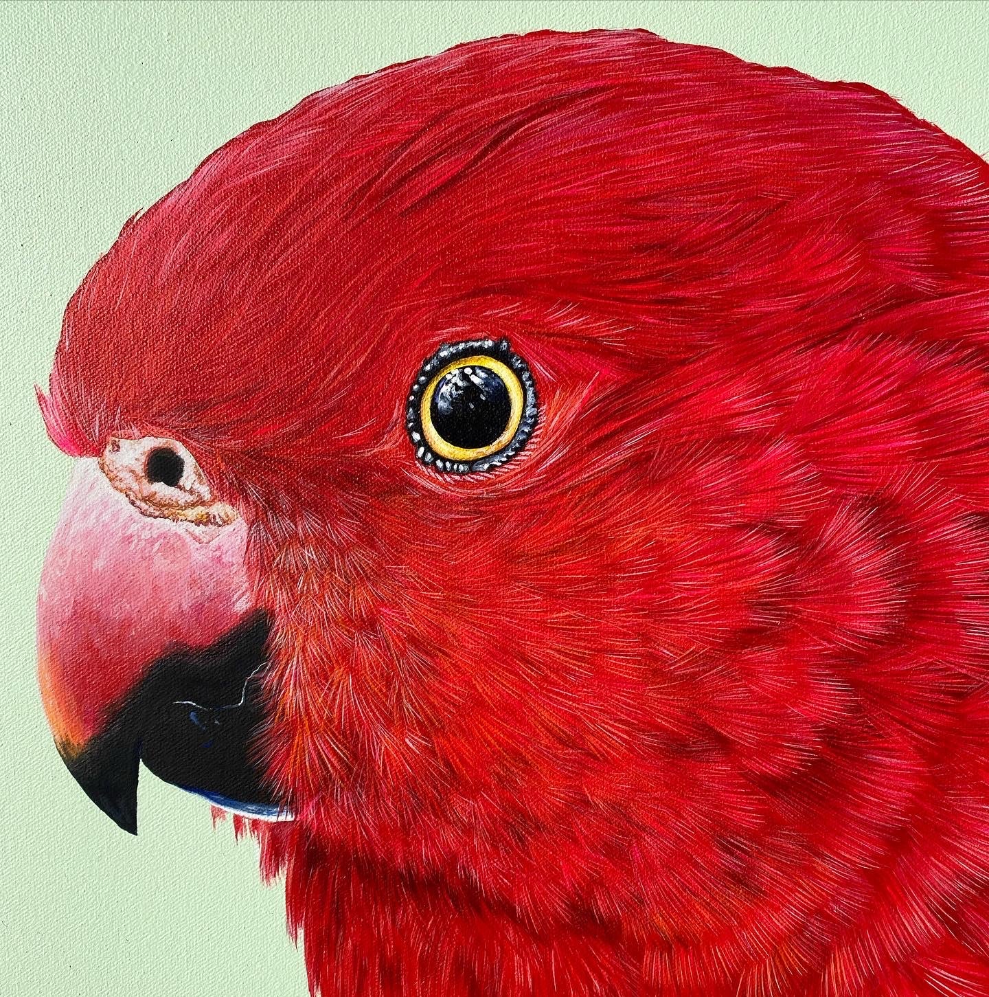 Original Canvas - Red