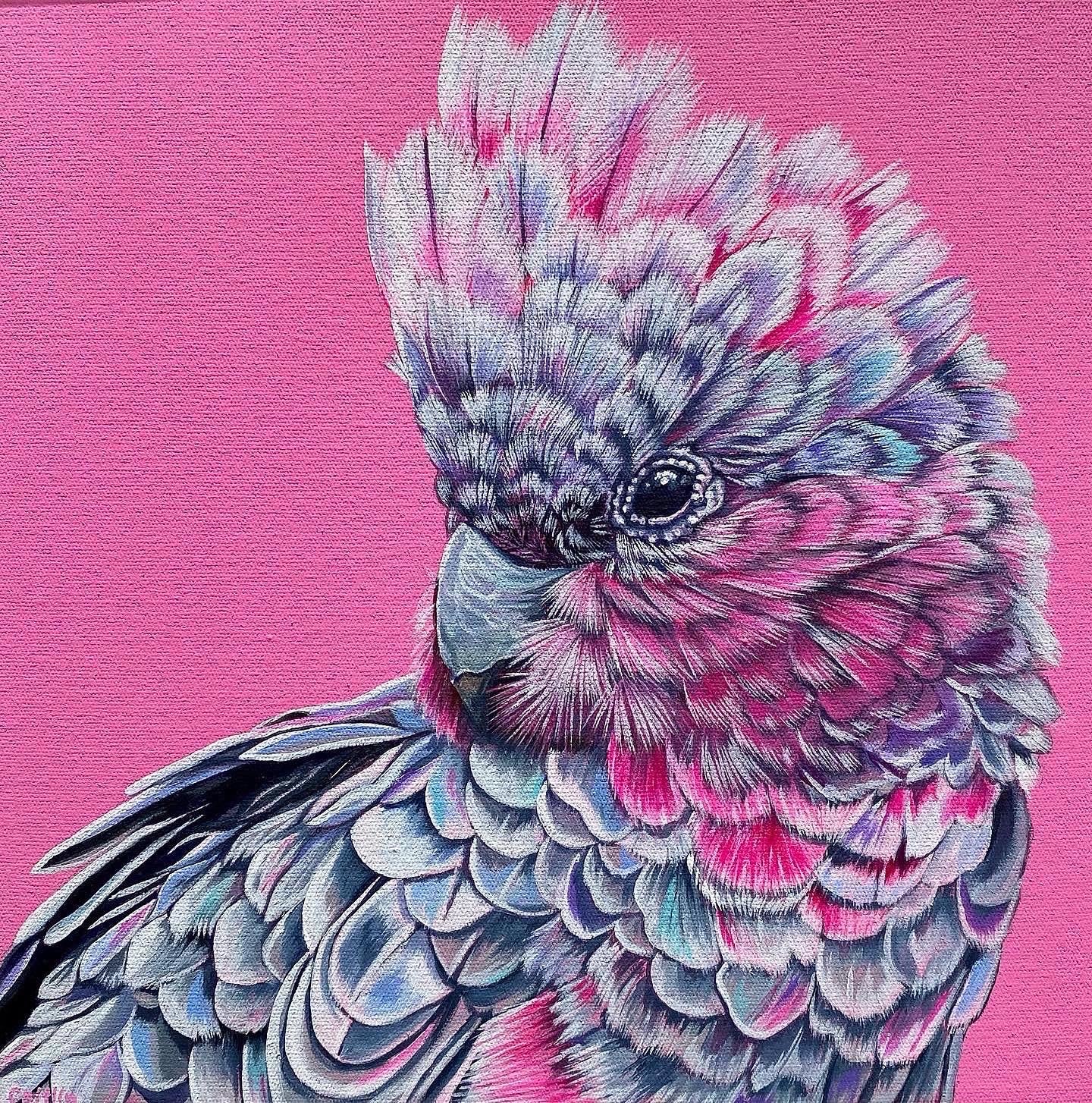 Original Canvas | Greta the Galah