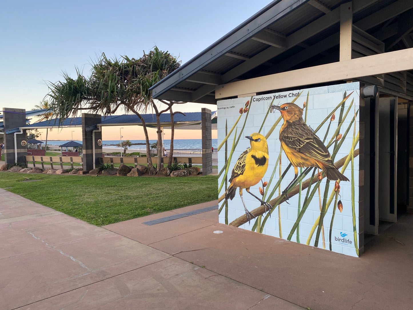 Yellow Chats