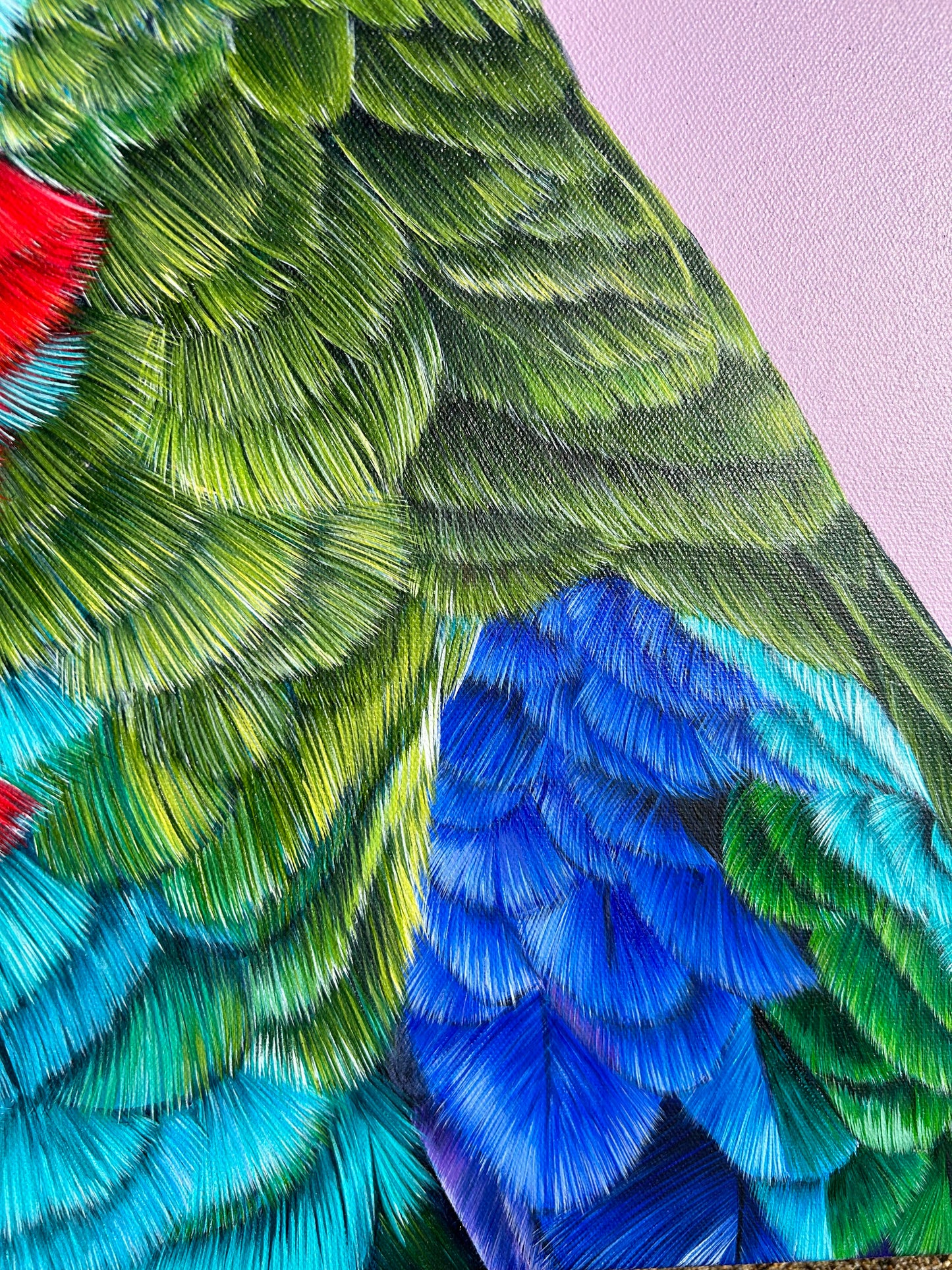 Original Canvas - Skittles