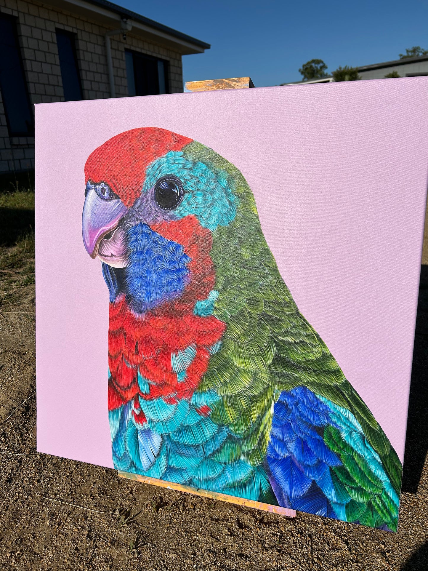 Original Canvas - Skittles