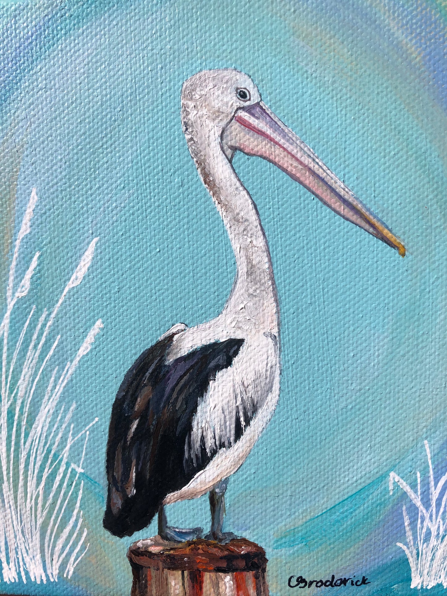 Original Canvas | Pelican at Yeppoon