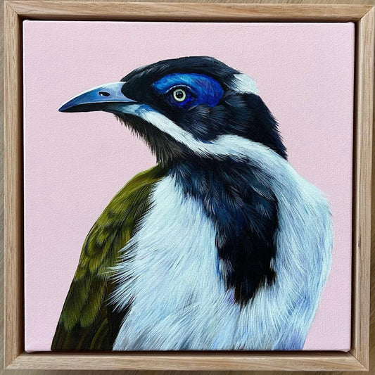 Blue-faced Honey Eater
