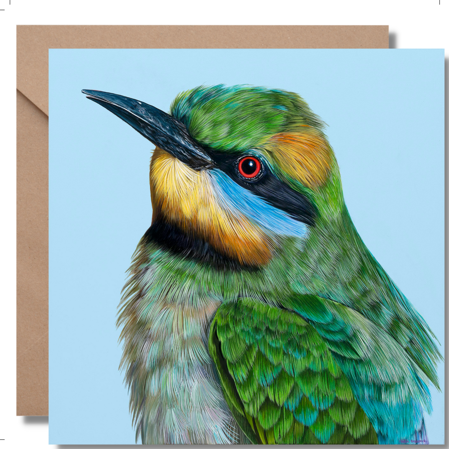 2024 Calendar Birds of Australia and Greeting Cards