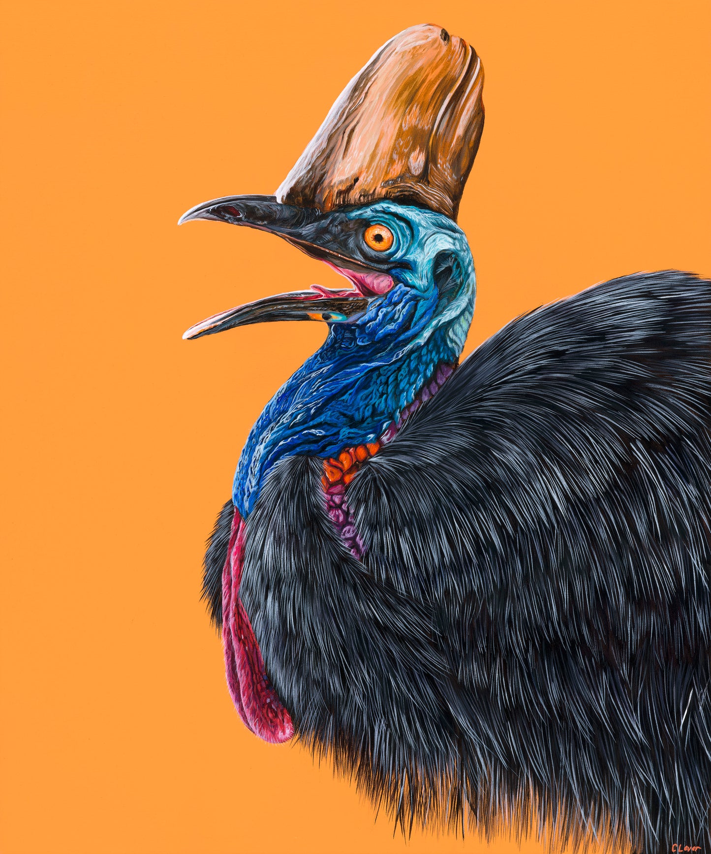 Cassie the Cassowary