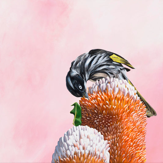 Print - Harriet the Honey Eater