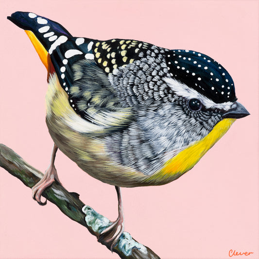 Print - Spotted Pardalote