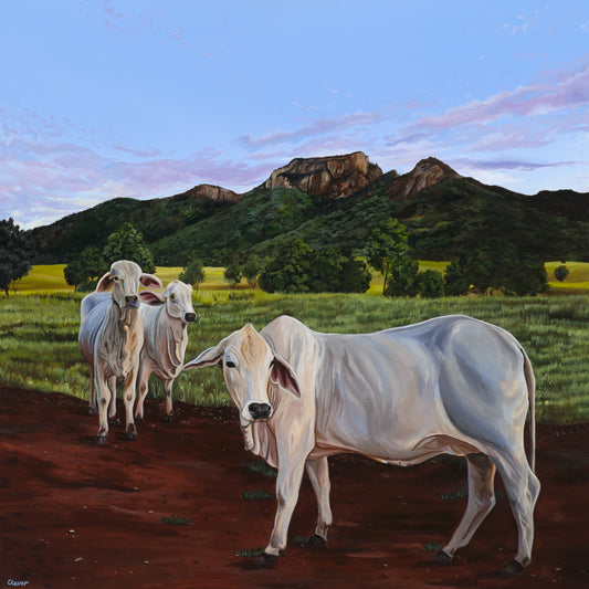 Original Canvas - Passing Through Biggenden
