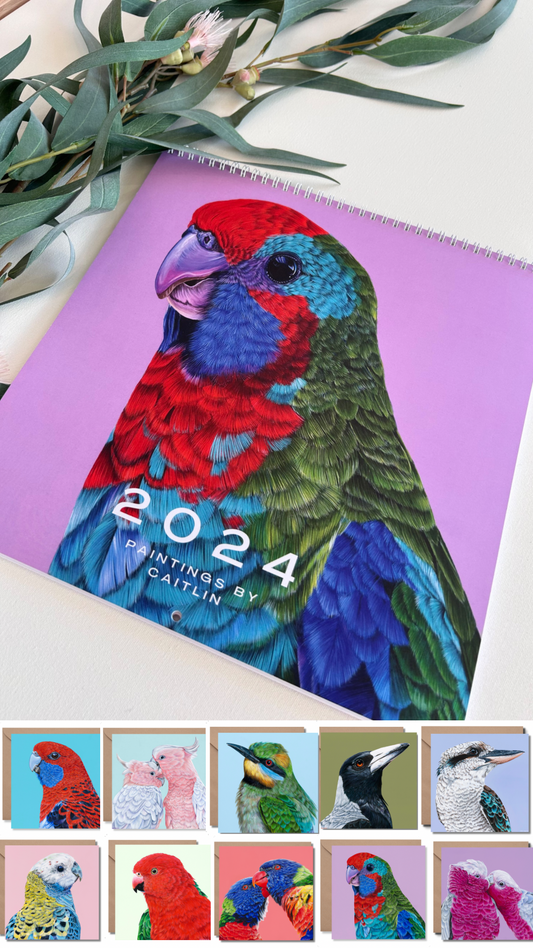 2024 Calendar Birds of Australia and Greeting Cards