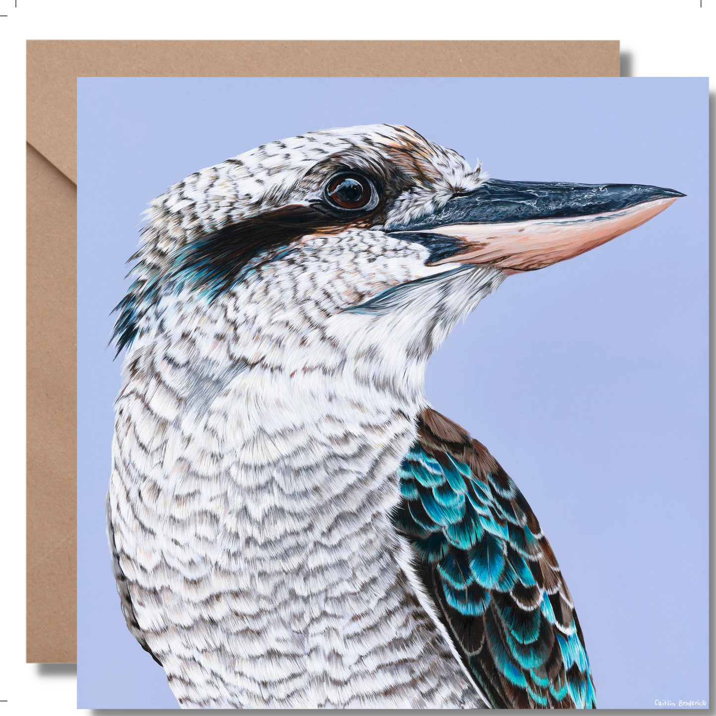 2024 Calendar Birds of Australia and Greeting Cards