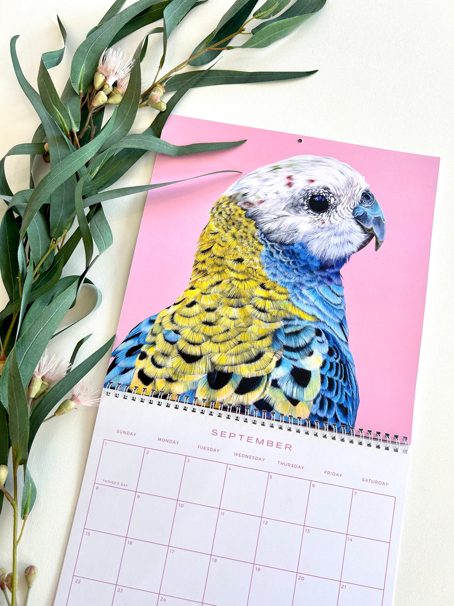 2024 Calendar Birds Of Australia Paintings By Caitlin   FullSizeRender 893bcffd E858 4e92 8cfa 58a69b214986 1500x 