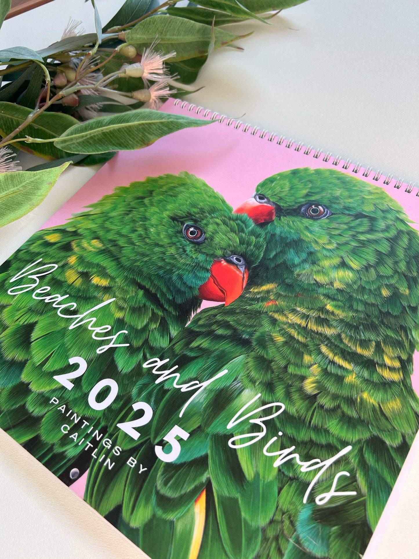 2025 Beaches and Birds Calendar