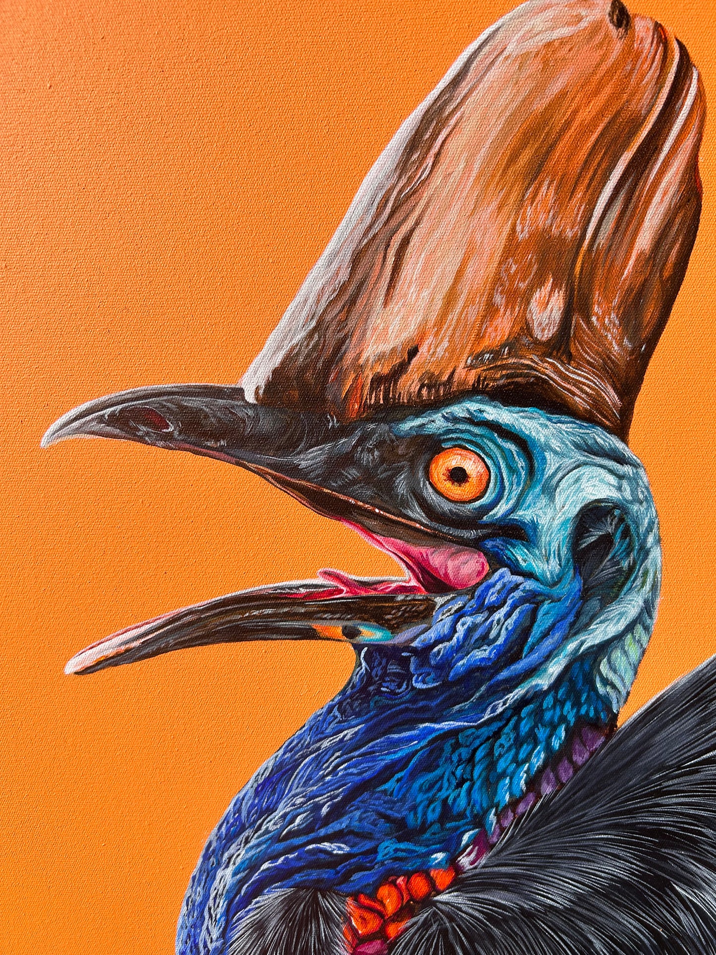 Cassie the Cassowary