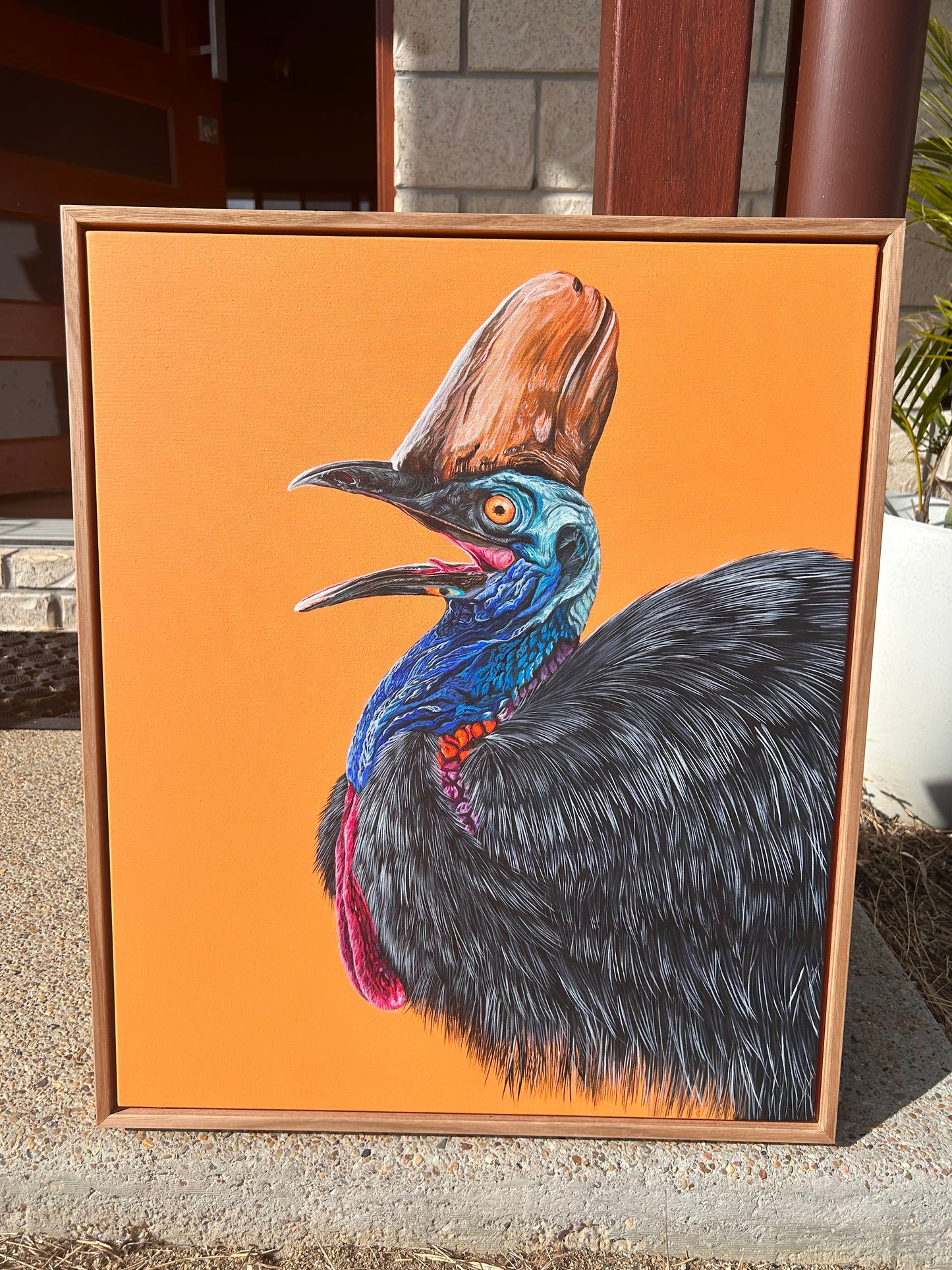 Cassie the Cassowary