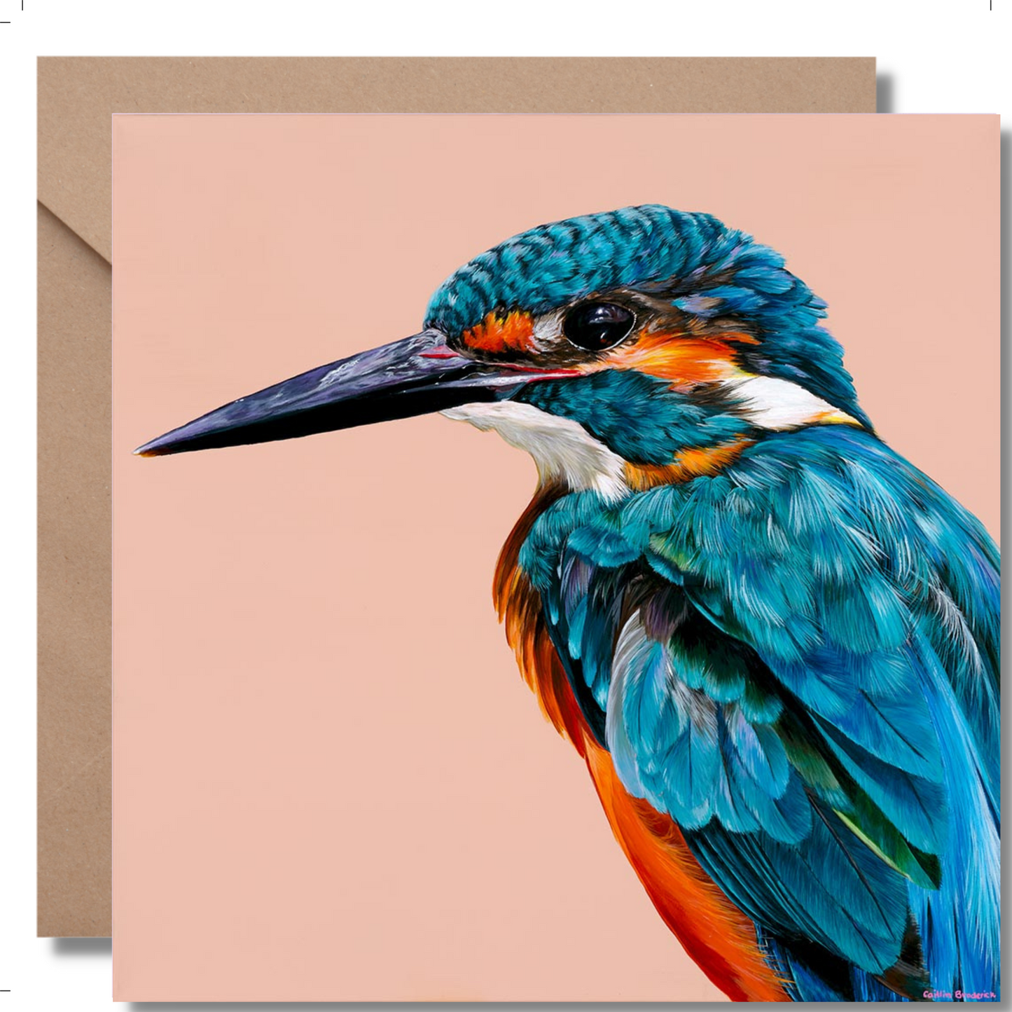 2024 Calendar Birds of Australia and Greeting Cards