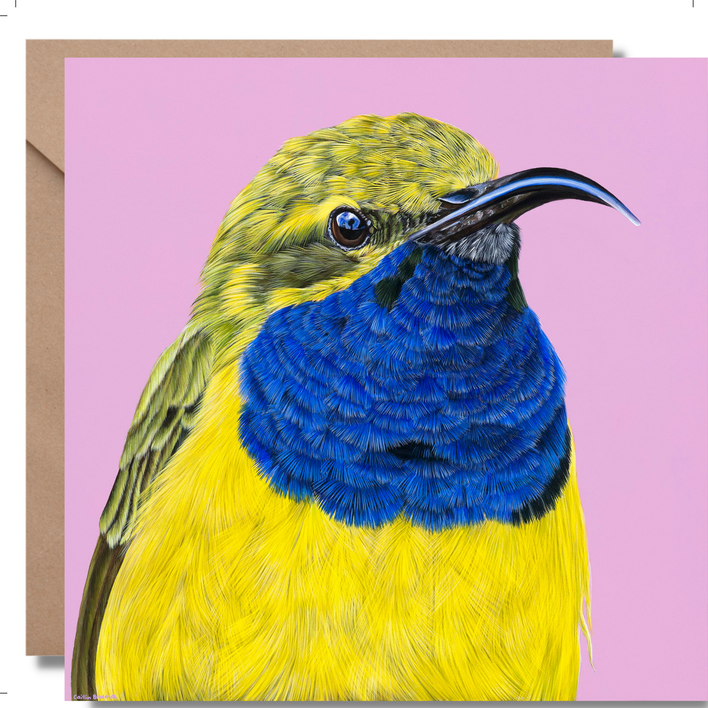 2024 Calendar Birds of Australia and Greeting Cards