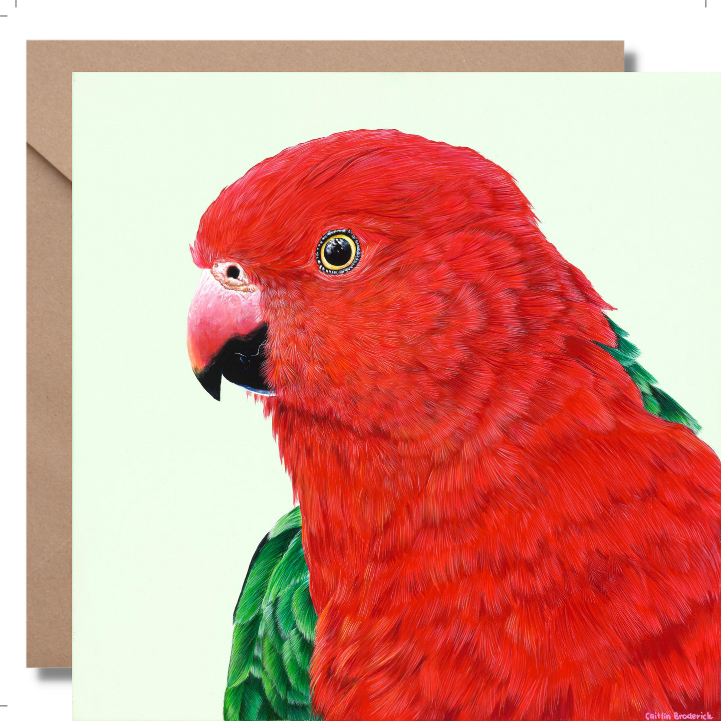 2024 Calendar Birds of Australia and Greeting Cards