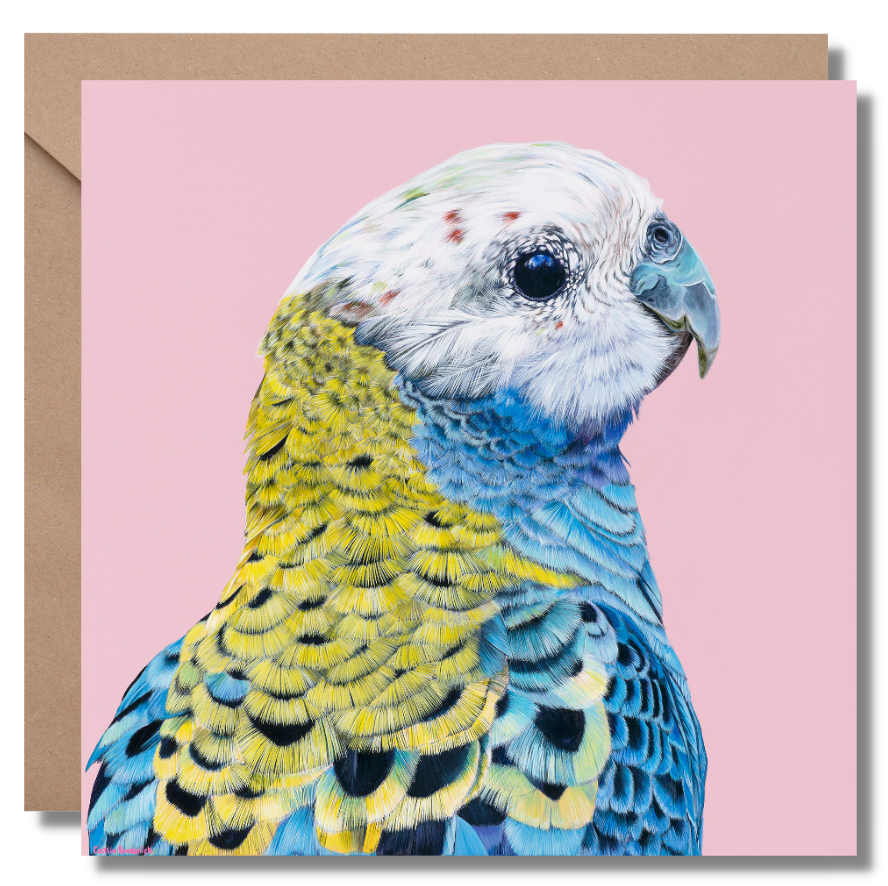 2024 Calendar Birds of Australia and Greeting Cards