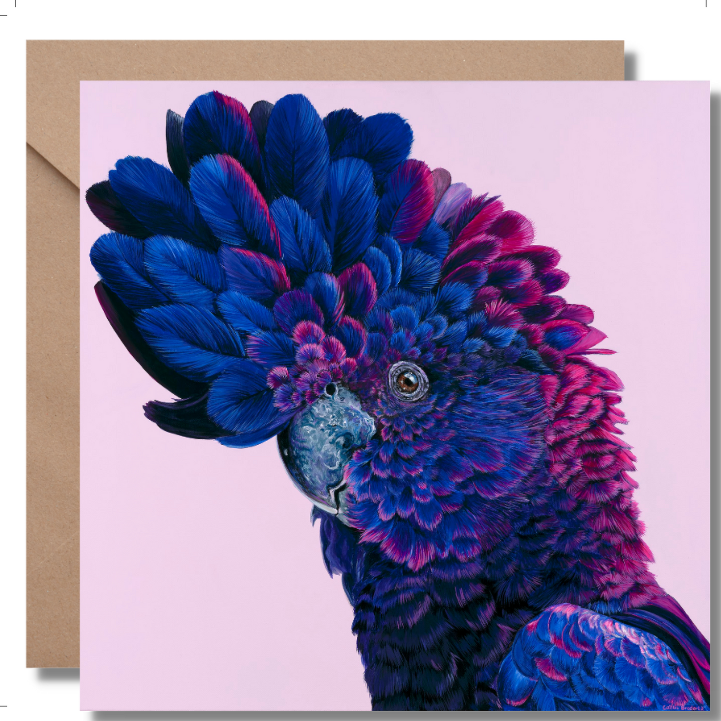 2024 Calendar Birds of Australia and Greeting Cards