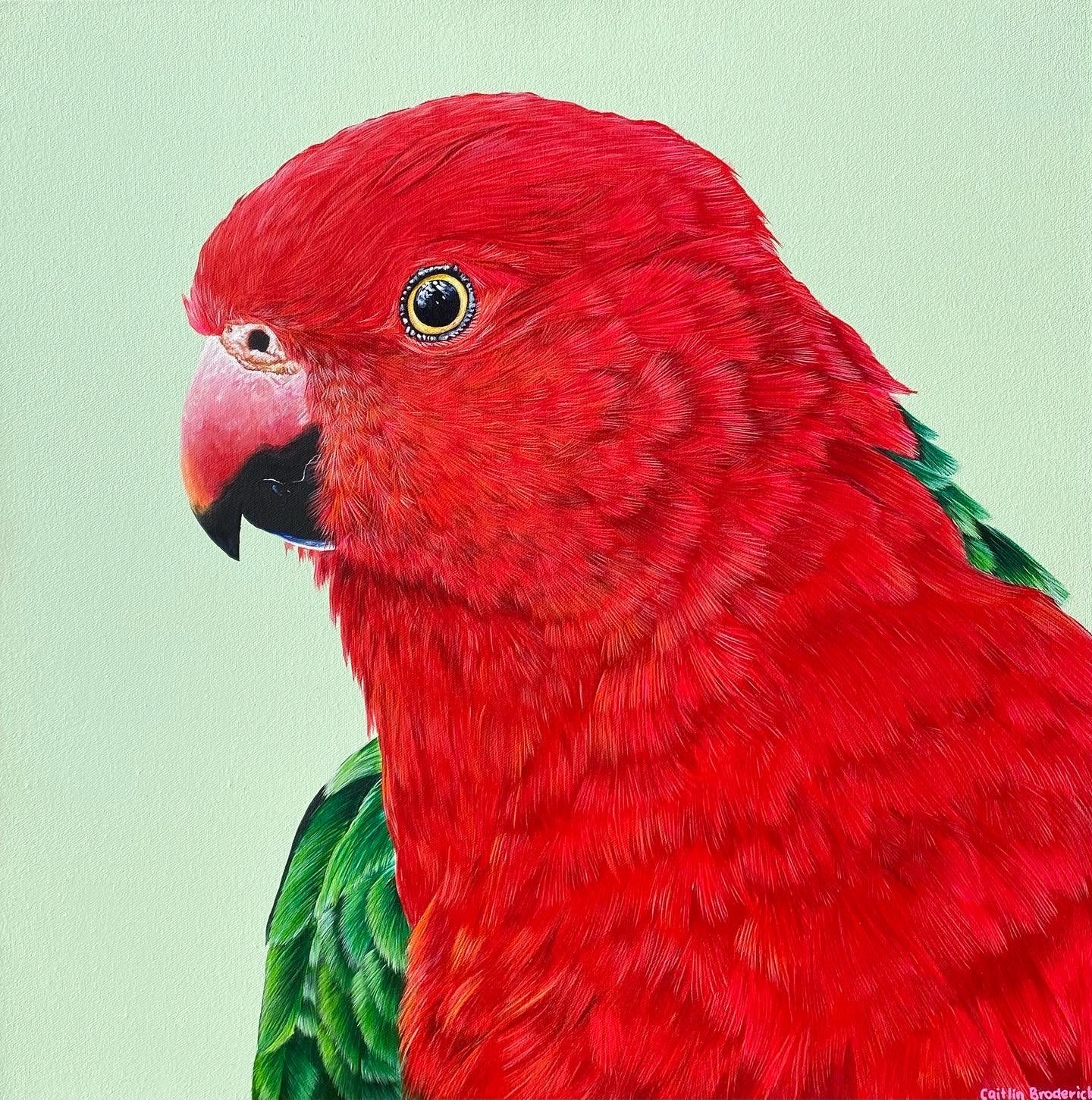 Print - Red – Paintings By Caitlin