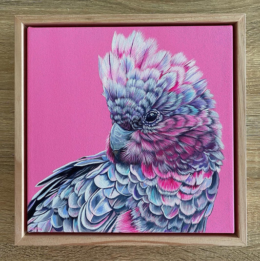 Original Canvas | Greta the Galah