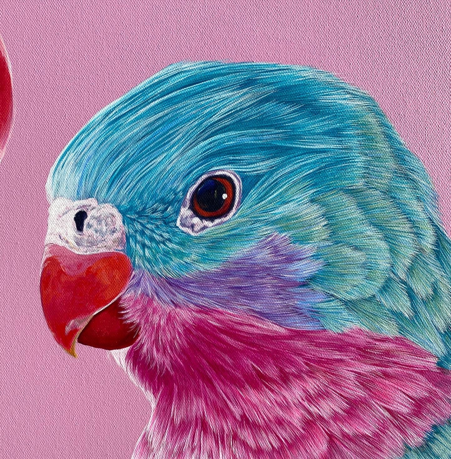 Original Canvas - Princess Parrots