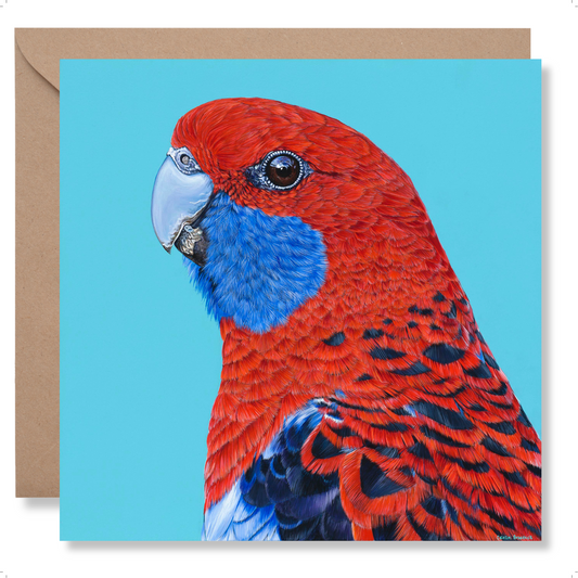 Greeting Card  "Arlo"