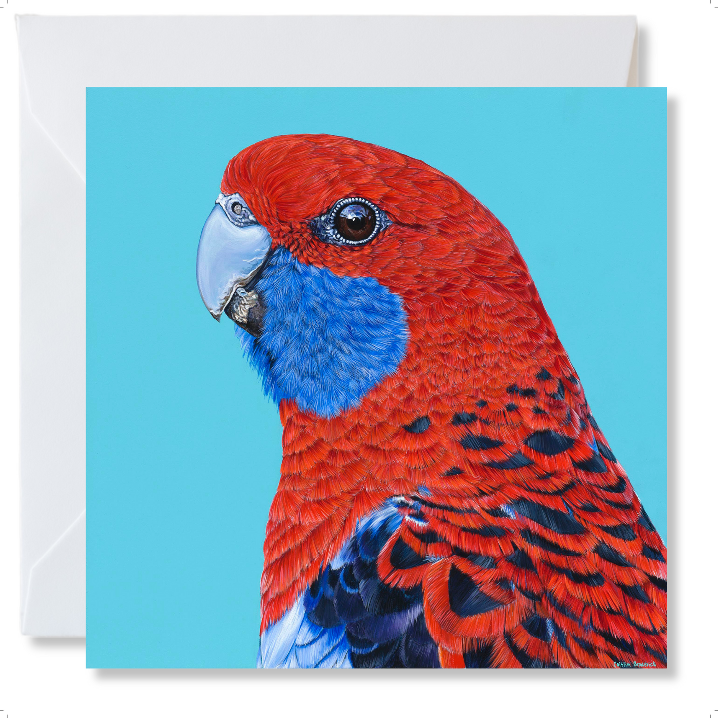 Greeting Card  "Arlo"