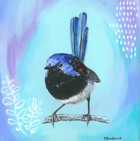 Original Canvas | Fairy Wren