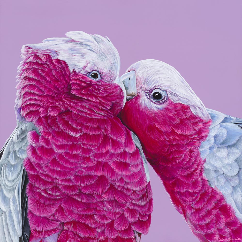 Print - Galahs