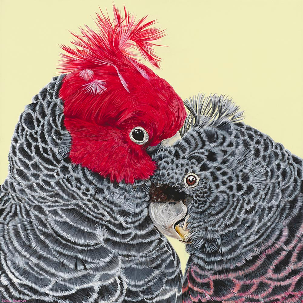 Original Canvas - Gang Gang Cockatoos