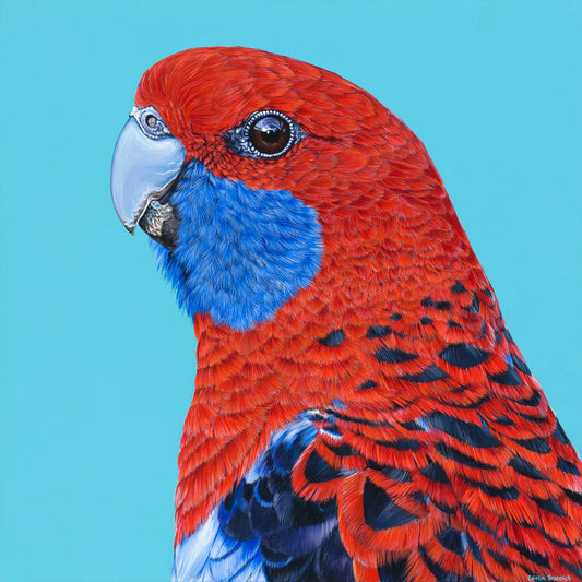 Original Canvas - Arlo