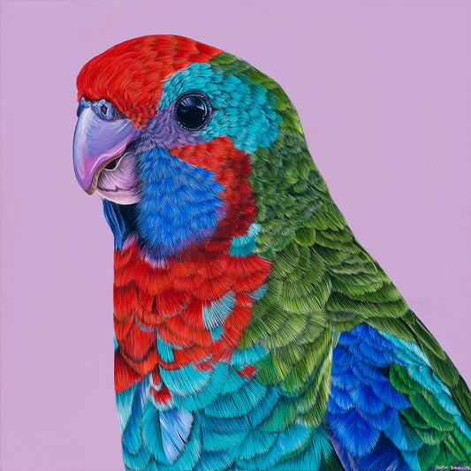 Original Canvas - Skittles