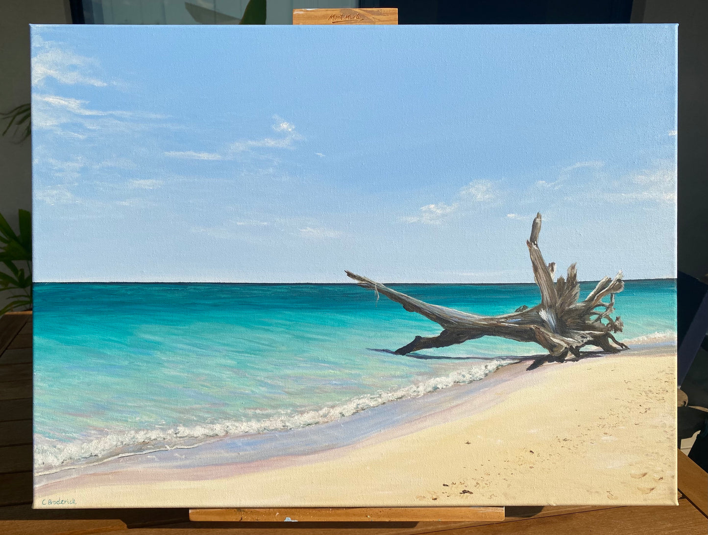 Original Canvas | Masthead Island Beach