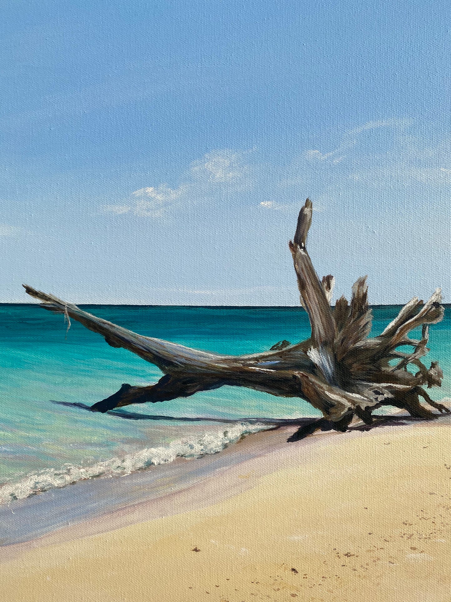 Original Canvas | Masthead Island Beach