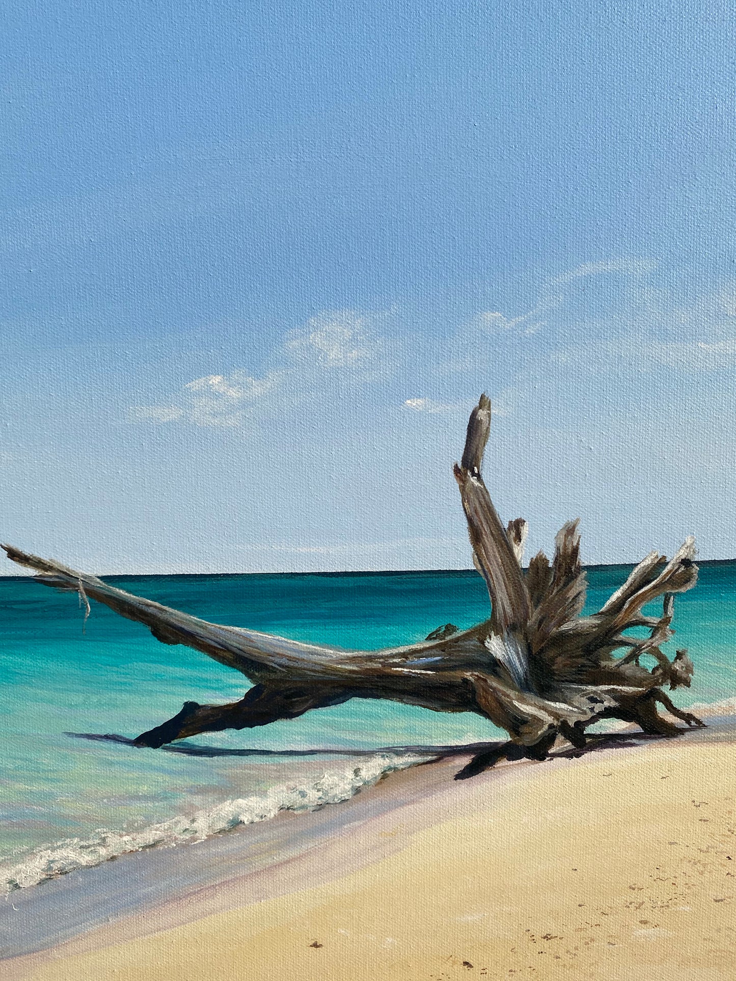 Original Canvas | Masthead Island Beach