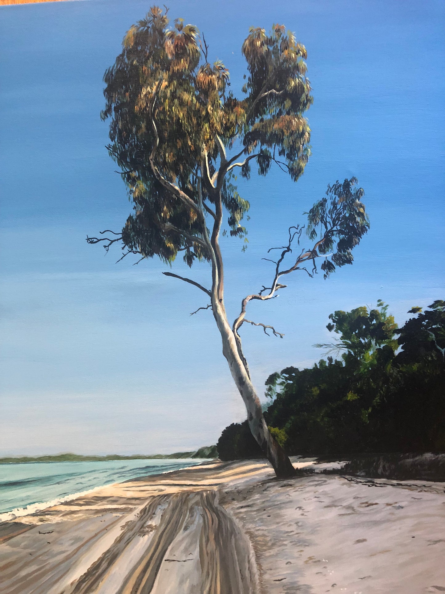 Original Canvas | K'gari (Fraser Island)